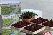 梦见领证高速赋能产业升级：一条“杨梅路”的致富密码